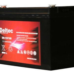 Deltec 12V 100Ah AGM Battery