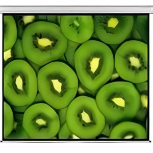 Esquire Electric Projector Screen 300 X 169