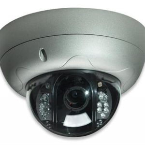 Intellinet PRO Serie R Network Dome