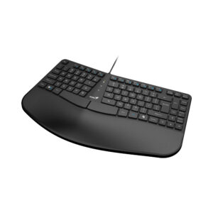 GENIUS ERGO KEYBOARD-700 (USB) (BLACK)