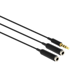 DELOCK 25CM STEREO M - 2X STEREO F 4-POLE (65575)